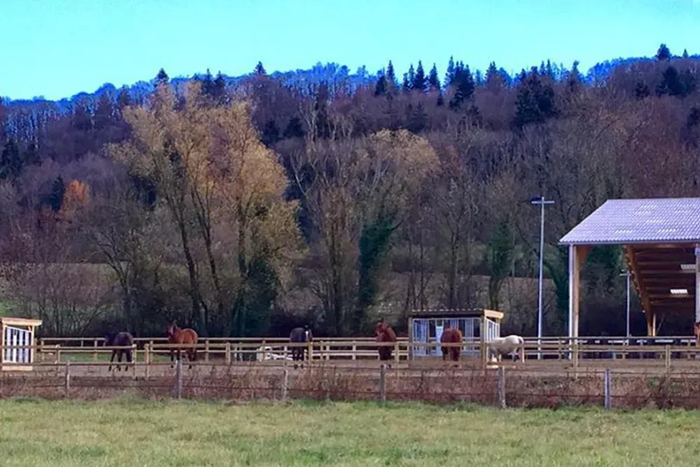 installation equestre (2)