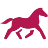 chevaux (2)